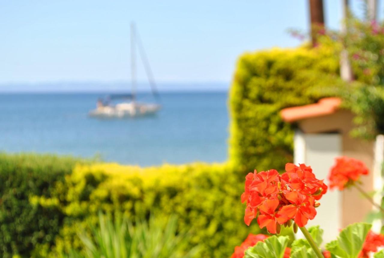 Christina'S Sea House Διαμέρισμα Νικήτη Εξωτερικό φωτογραφία