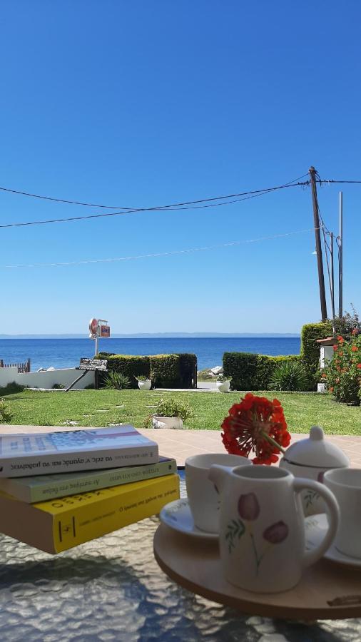 Christina'S Sea House Διαμέρισμα Νικήτη Εξωτερικό φωτογραφία